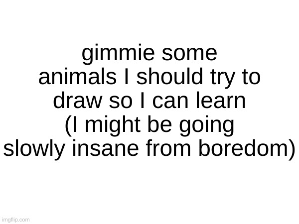 not having anything makes weekends UNBEARABLE | gimmie some animals I should try to draw so I can learn (I might be going slowly insane from boredom) | made w/ Imgflip meme maker