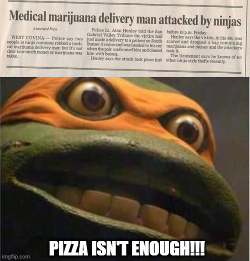 Ninja Weed | PIZZA ISN'T ENOUGH!!! | image tagged in teen age mutant ninja turtle | made w/ Imgflip meme maker