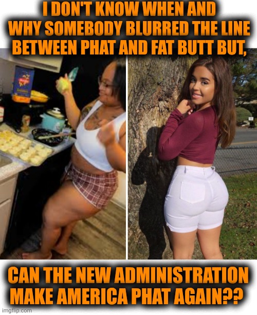 Funny | I DON'T KNOW WHEN AND WHY SOMEBODY BLURRED THE LINE BETWEEN PHAT AND FAT BUTT BUT, CAN THE NEW ADMINISTRATION MAKE AMERICA PHAT AGAIN?? | image tagged in funny,politics,trump administration,fat,hot,blur | made w/ Imgflip meme maker