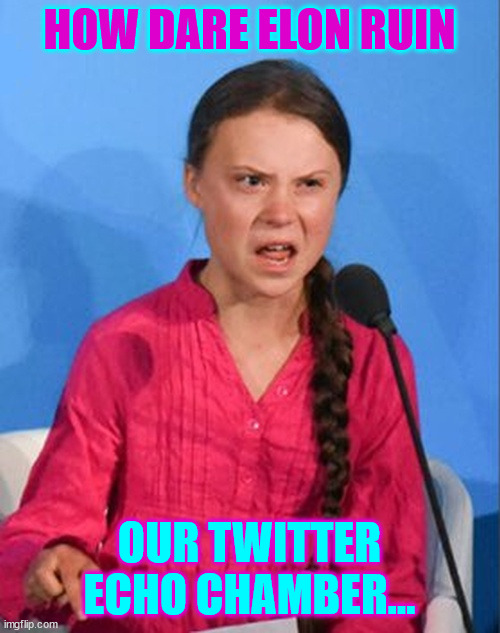 Greta Thunberg how dare you | HOW DARE ELON RUIN OUR TWITTER ECHO CHAMBER... | image tagged in greta thunberg how dare you | made w/ Imgflip meme maker