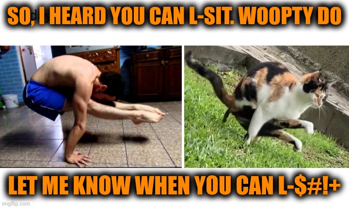 Funny | SO, I HEARD YOU CAN L-SIT. WOOPTY DO; LET ME KNOW WHEN YOU CAN L-$#!+ | image tagged in funny,gymnastics,shit,cat,trick,power | made w/ Imgflip meme maker