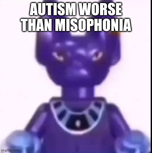 beerus | AUTISM WORSE THAN MISOPHONIA | image tagged in beerus | made w/ Imgflip meme maker