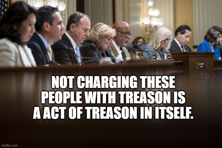 Jan 6th Commitee | NOT CHARGING THESE PEOPLE WITH TREASON IS A ACT OF TREASON IN ITSELF. | image tagged in jan 6th commitee | made w/ Imgflip meme maker