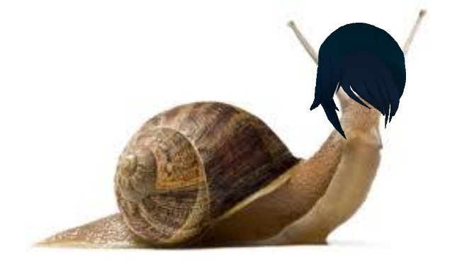SNAIL | image tagged in snail | made w/ Imgflip meme maker