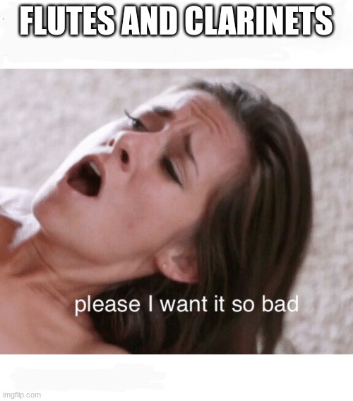 Please I want it so bad | FLUTES AND CLARINETS | image tagged in please i want it so bad | made w/ Imgflip meme maker