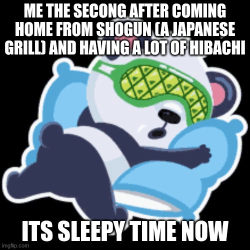 is this relatable? | ME THE SECONG AFTER COMING HOME FROM SHOGUN (A JAPANESE GRILL) AND HAVING A LOT OF HIBACHI; ITS SLEEPY TIME NOW | image tagged in tired | made w/ Imgflip meme maker