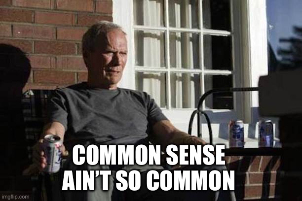 COMMON SENSE 
AIN’T SO COMMON | image tagged in clint eastwood gran torino | made w/ Imgflip meme maker