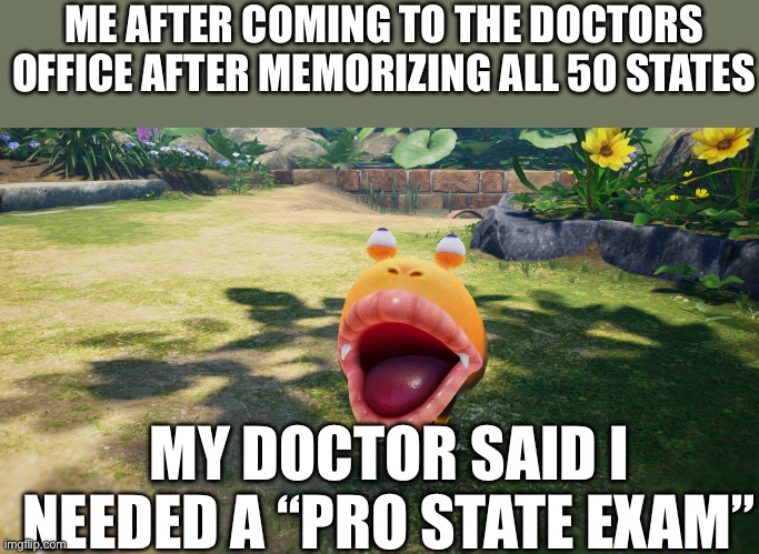 The face | ME AFTER COMING TO THE DOCTORS OFFICE AFTER MEMORIZING ALL 50 STATES; MY DOCTOR SAID I NEEDED A “PRO STATE EXAM” | image tagged in pikmin | made w/ Imgflip meme maker