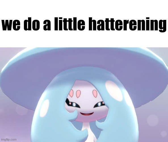 we do a little hatterening | image tagged in we do a little hatterening | made w/ Imgflip meme maker