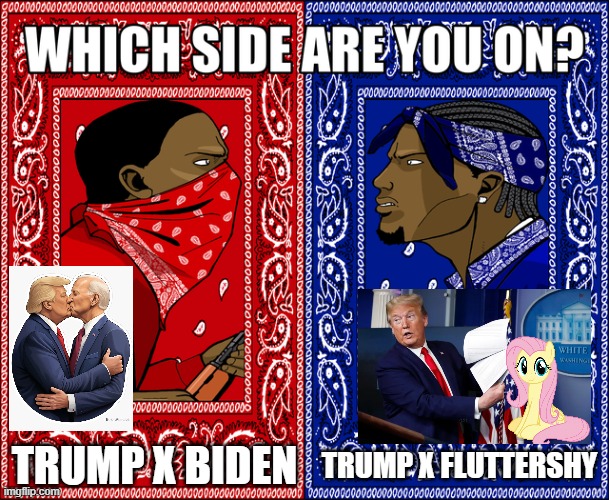 WHICH SIDE ARE YOU ON? | TRUMP X BIDEN; TRUMP X FLUTTERSHY | image tagged in which side are you on | made w/ Imgflip meme maker