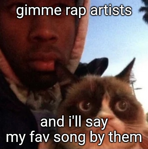 tyler the creator and grumpy cat | gimme rap artists; and i'll say my fav song by them | image tagged in tyler the creator and grumpy cat | made w/ Imgflip meme maker