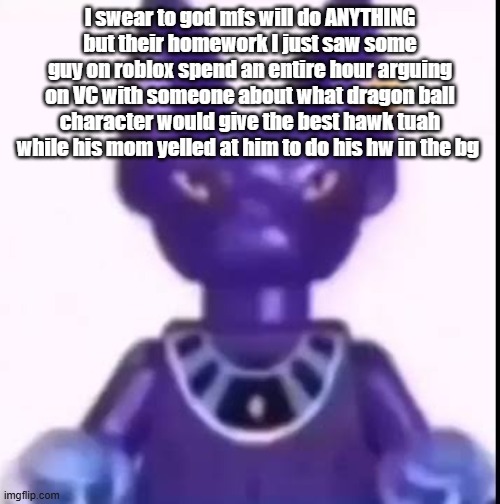 beerus | I swear to god mfs will do ANYTHING but their homework I just saw some guy on roblox spend an entire hour arguing on VC with someone about what dragon ball character would give the best hawk tuah while his mom yelled at him to do his hw in the bg | image tagged in beerus | made w/ Imgflip meme maker