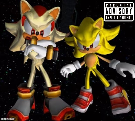 sonic n shadow | image tagged in sonic n shadow | made w/ Imgflip meme maker