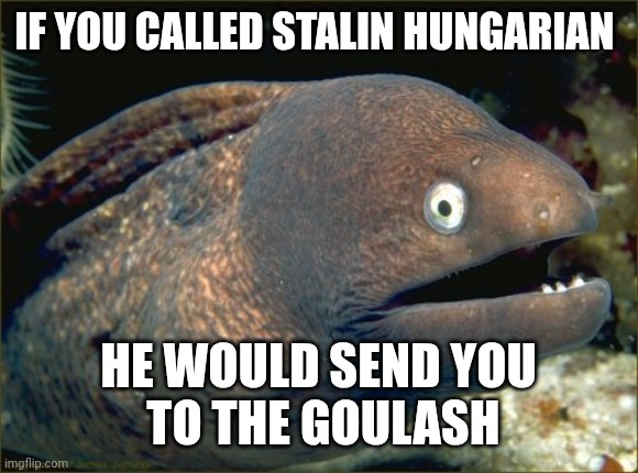 Quit Stalin and eat! | IF YOU CALLED STALIN HUNGARIAN; HE WOULD SEND YOU
 TO THE GOULASH | image tagged in memes,bad joke eel,stalin | made w/ Imgflip meme maker