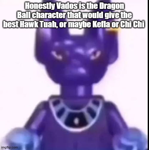 beerus | Honestly Vados is the Dragon Ball character that would give the best Hawk Tuah, or maybe Kefla or Chi Chi | image tagged in beerus | made w/ Imgflip meme maker