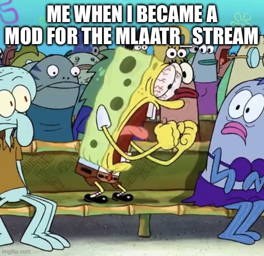 Spongebob Yelling | ME WHEN I BECAME A MOD FOR THE MLAATR_STREAM | image tagged in spongebob yelling | made w/ Imgflip meme maker