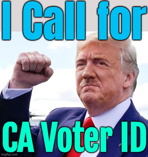 Trump Calls for CA Voter ID | I Call for; CA Voter ID | image tagged in hitler trump,donald trump,adolf hitler,california,breaking news,voter fraud | made w/ Imgflip meme maker