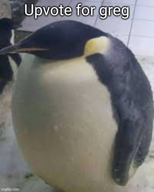 Penguin | Upvote for greg | image tagged in penguin,memes | made w/ Imgflip meme maker