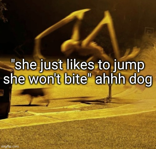 THESE DOGS SUCK PUT THEM DOWN | "she just likes to jump she won't bite" ahhh dog | image tagged in dogs,stupid people,funny,relatable,pets,murder | made w/ Imgflip meme maker