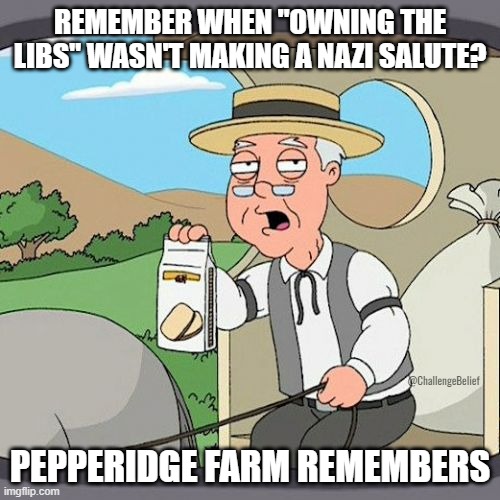 Elon Salute | REMEMBER WHEN "OWNING THE LIBS" WASN'T MAKING A NAZI SALUTE? @ChallengeBelief; PEPPERIDGE FARM REMEMBERS | image tagged in memes,pepperidge farm remembers | made w/ Imgflip meme maker