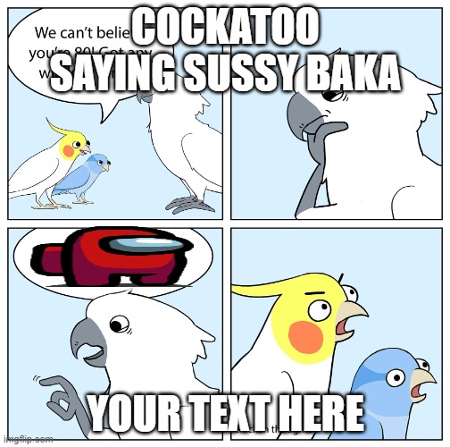 Chicken Thoughts: The wise old bird | COCKATOO SAYING SUSSY BAKA; YOUR TEXT HERE | image tagged in chicken thoughts the wise old bird | made w/ Imgflip meme maker