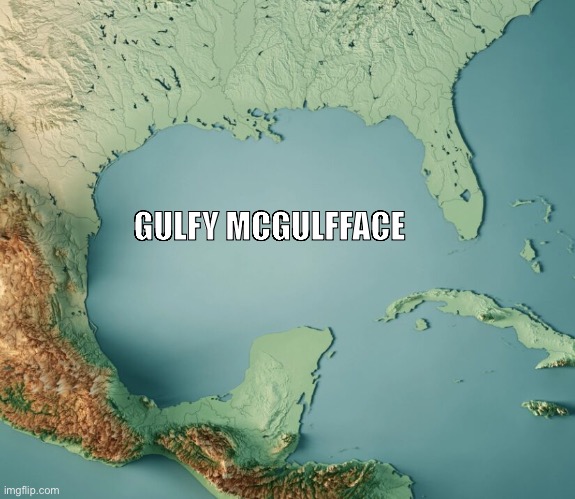 Gulfy McGulfface | GULFY MCGULFFACE | image tagged in gulf of what | made w/ Imgflip meme maker