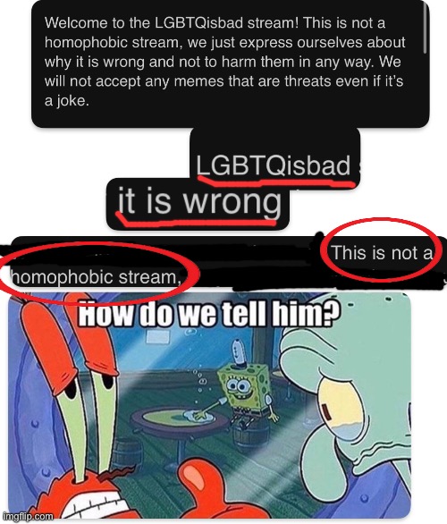 “Not a homophobic stream” LMFAO | image tagged in lmfao | made w/ Imgflip meme maker