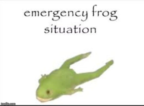 Emergency Frog situation | image tagged in emergency frog situation | made w/ Imgflip meme maker