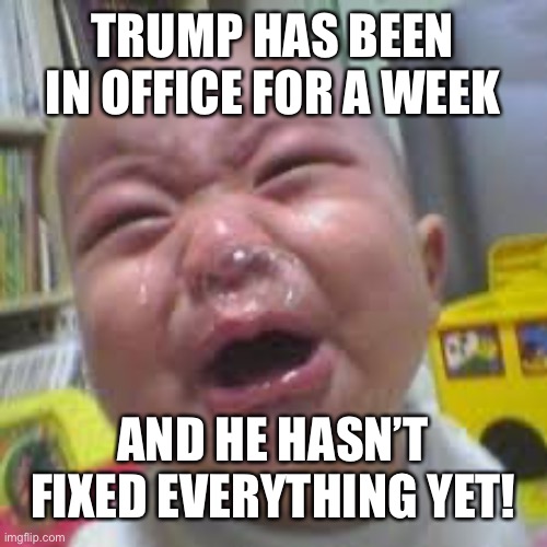 The left are still losing it. | TRUMP HAS BEEN IN OFFICE FOR A WEEK; AND HE HASN’T FIXED EVERYTHING YET! | image tagged in crybaby | made w/ Imgflip meme maker