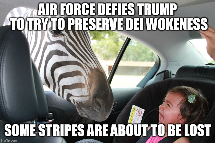 LOSING STRIPES | AIR FORCE DEFIES TRUMP
 TO TRY TO PRESERVE DEI WOKENESS; SOME STRIPES ARE ABOUT TO BE LOST | image tagged in zebra - do you have a minute,air force,woke,diversity | made w/ Imgflip meme maker