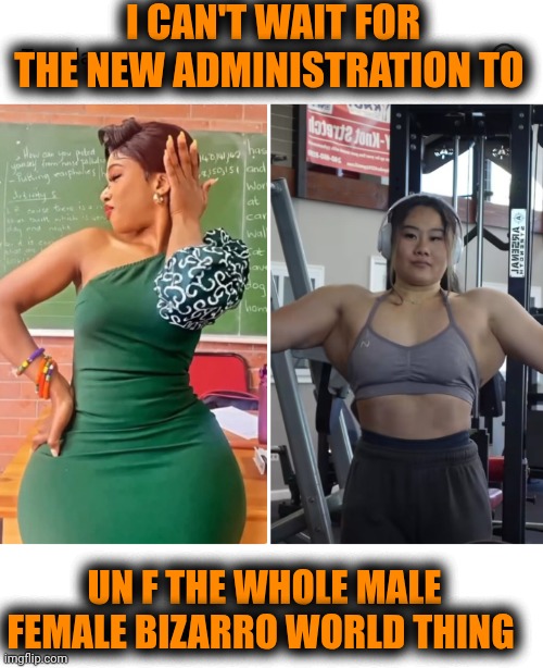 Funny | I CAN'T WAIT FOR THE NEW ADMINISTRATION TO; UN F THE WHOLE MALE FEMALE BIZARRO WORLD THING | image tagged in funny,politics,men and women,overly manly woman,transformers,humans | made w/ Imgflip meme maker