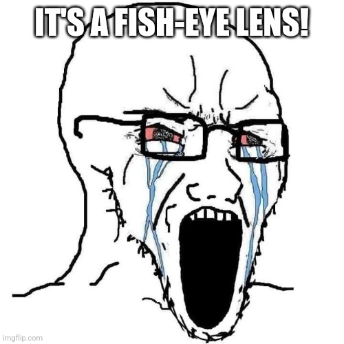 IT'S A FISH-EYE LENS! | image tagged in crying wojak | made w/ Imgflip meme maker