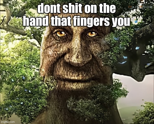 tree | dont shit on the hand that fingers you | image tagged in tree | made w/ Imgflip meme maker