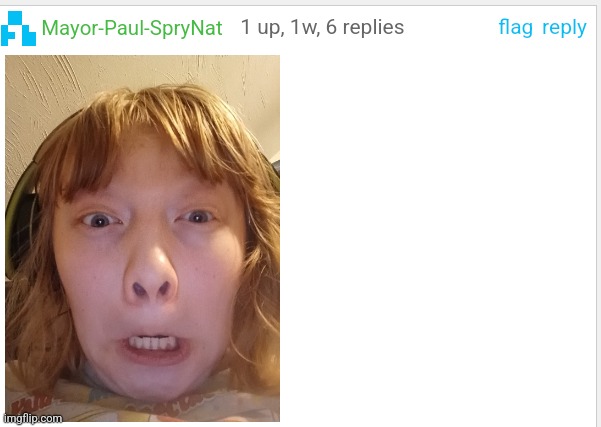 made w/ Imgflip meme maker