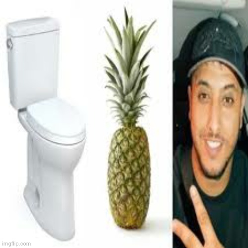 toilet ananas nasdas | made w/ Imgflip meme maker