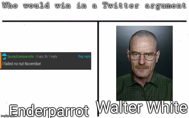 Pitting random mfs against each other | Walter White; Enderparrot | image tagged in pitting random mfs against each other,memes,msmg | made w/ Imgflip meme maker