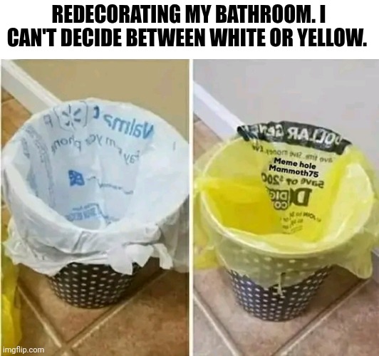 Redecorating My Bathroom. I Can't Decide Between White Or Yellow | REDECORATING MY BATHROOM. I CAN'T DECIDE BETWEEN WHITE OR YELLOW. | image tagged in chris joines | made w/ Imgflip meme maker