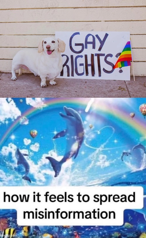 image tagged in how it feels to spread misinformation | made w/ Imgflip meme maker