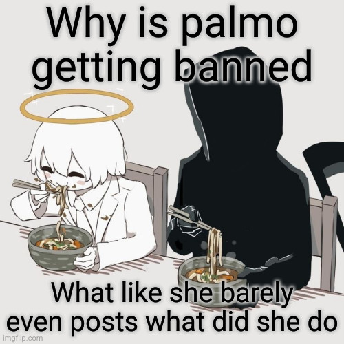 yal so silly | Why is palmo getting banned; What like she barely even posts what did she do | image tagged in avogado6,palmo,funny,msmg,banned,banned from roblox | made w/ Imgflip meme maker