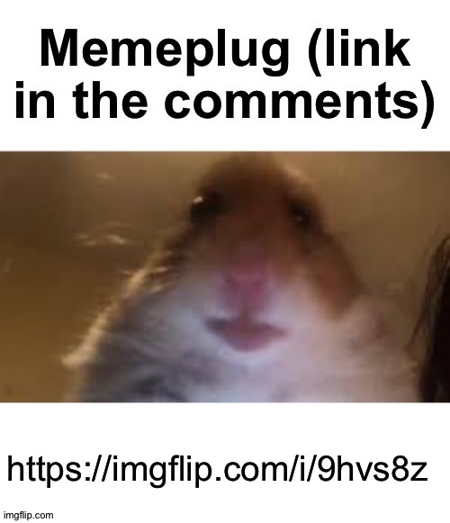 Memeplug | https://imgflip.com/i/9hvs8z | image tagged in memeplug | made w/ Imgflip meme maker