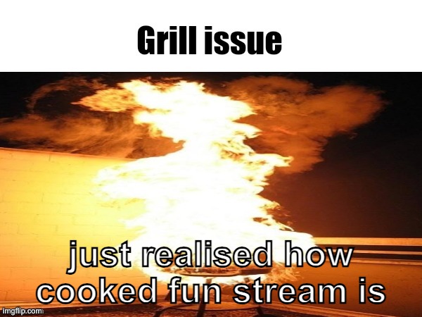 Grill issue | just realised how cooked fun stream is | image tagged in grill issue | made w/ Imgflip meme maker