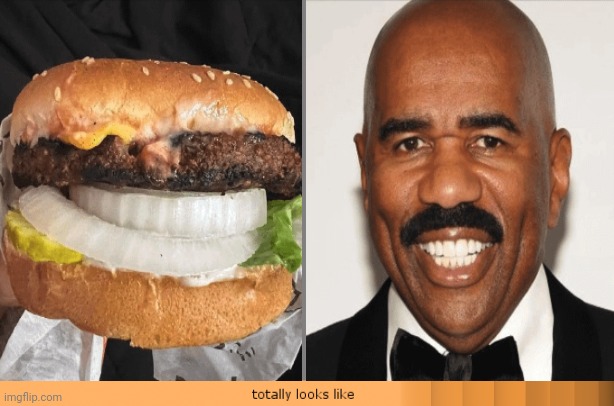 Steve Harvey, Burger | image tagged in totally looks like,steve harvey,burger,memes,burgers,lookalike | made w/ Imgflip meme maker