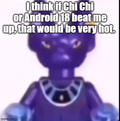 beerus | I think if Chi Chi or Android 18 beat me up, that would be very hot. | image tagged in beerus | made w/ Imgflip meme maker