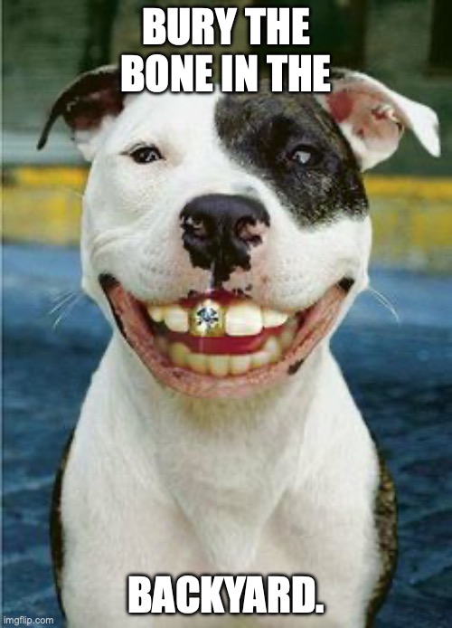 PIt Bull Smile | BURY THE BONE IN THE; BACKYARD. | image tagged in pit bull smile | made w/ Imgflip meme maker