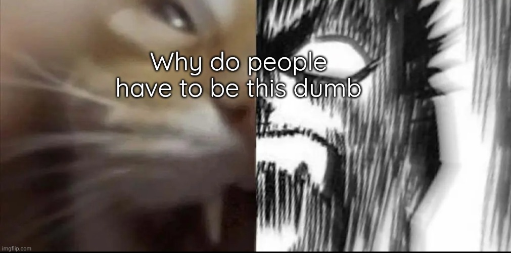 Cat and guts scream | Why do people have to be this dumb | image tagged in cat and guts scream | made w/ Imgflip meme maker