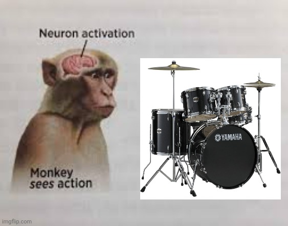 Playing on drum kit | image tagged in neuron activation,drums,drum kit,memes | made w/ Imgflip meme maker