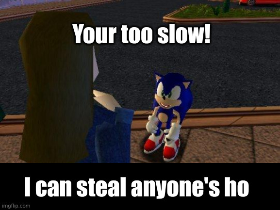 sonic rhyme | Your too slow! I can steal anyone's ho | image tagged in woah that's interesting but i sure dont care,sonic the hedgehog,sonic adventure 2,sonic,your too slow,hahaha | made w/ Imgflip meme maker