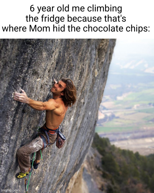 I would do anything for half a bag of those choccy chips | 6 year old me climbing the fridge because that's where Mom hid the chocolate chips: | image tagged in mountain climber,kids,funny,relatable,so true | made w/ Imgflip meme maker