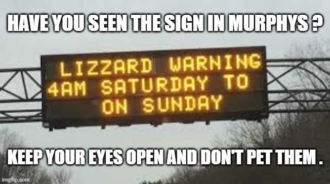 memes by Brad - Sign says "Lizzard Warning"  - humor - | HAVE YOU SEEN THE SIGN IN MURPHYS ? KEEP YOUR EYES OPEN AND DON'T PET THEM . | image tagged in funny,fun,play on words,funny sign,humor | made w/ Imgflip meme maker