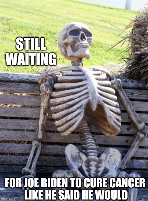 Not to demean the fight, but... | STILL
WAITING; FOR JOE BIDEN TO CURE CANCER
 LIKE HE SAID HE WOULD | image tagged in memes,waiting skeleton,biden,lies | made w/ Imgflip meme maker